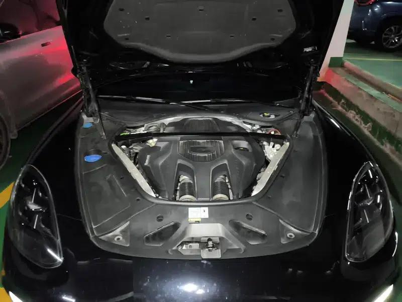2023 Panamera E-Hybrid, Panamera 4 E-Hybrid Platinum Edition 2.9T — миниатюра 19