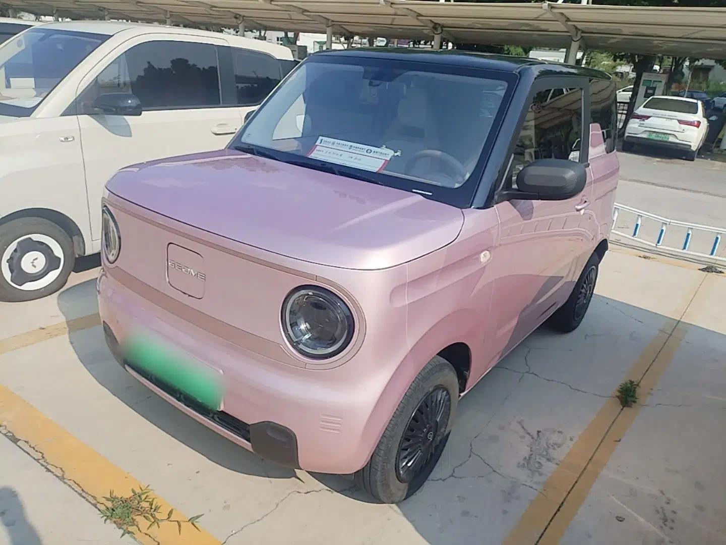 Geely Galaxy Panda 2024 Panda Mini 200km Endurance Bear — миниатюра 1