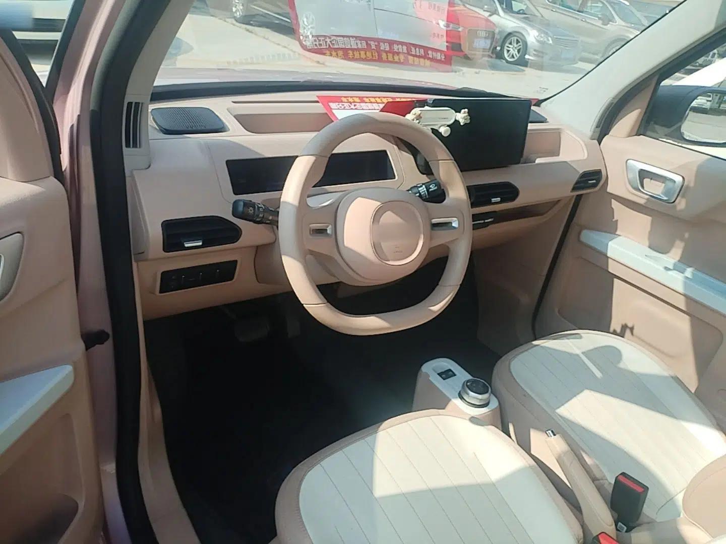 Geely Galaxy Panda 2024 Panda Mini 200km Endurance Bear — миниатюра 13