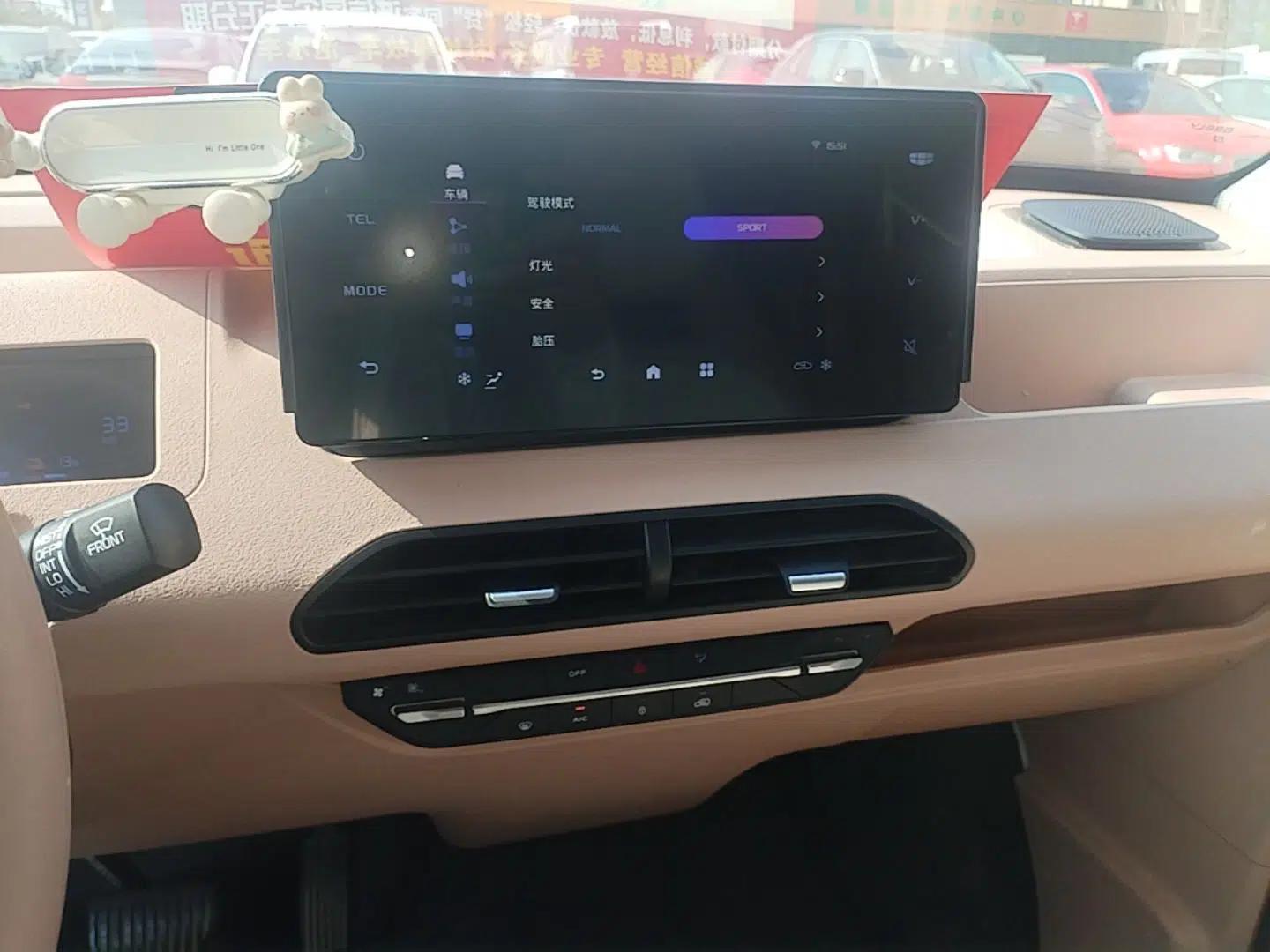 Geely Galaxy Panda 2024 Panda Mini 200km Endurance Bear — миниатюра 15