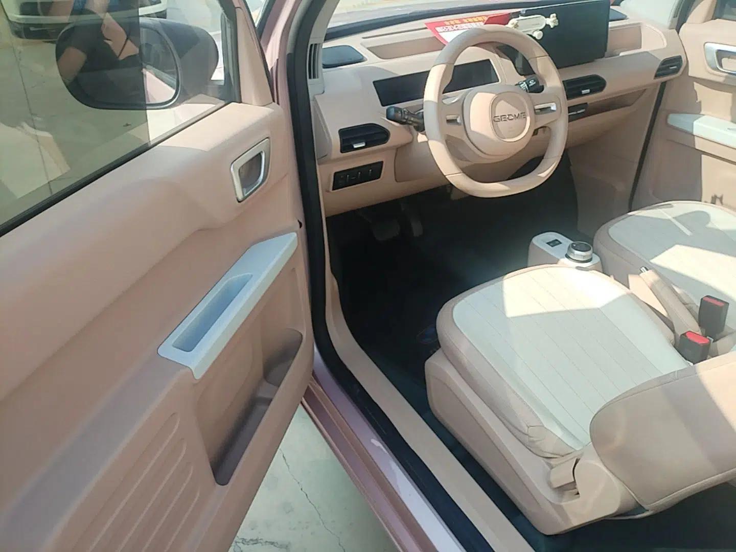Geely Galaxy Panda 2024 Panda Mini 200km Endurance Bear — миниатюра 18