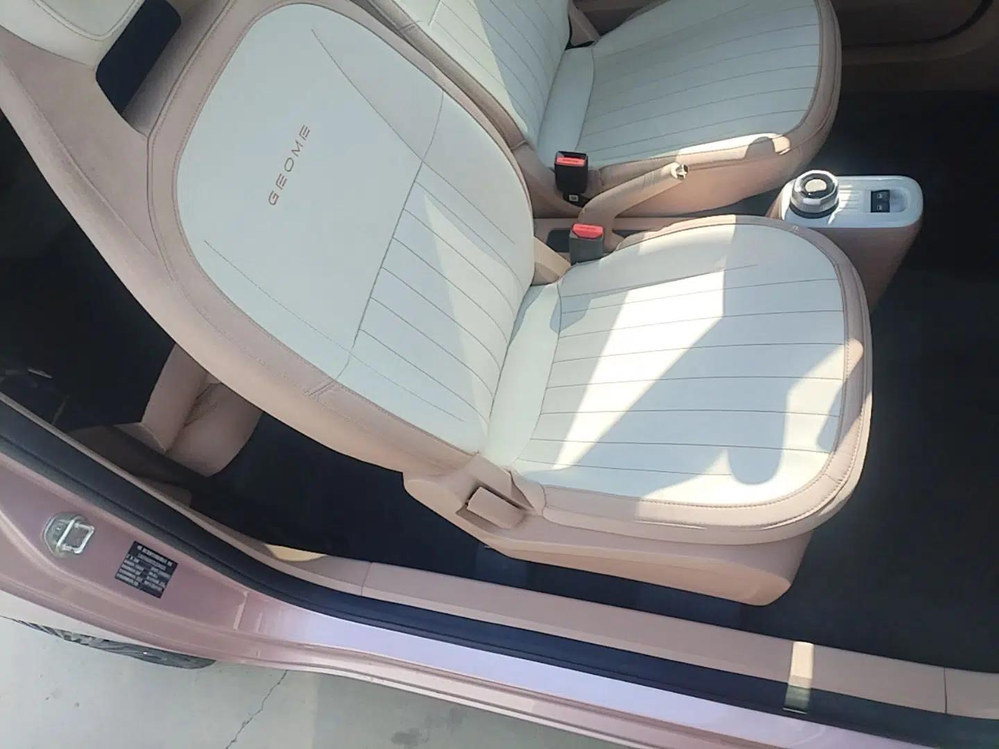 Geely Galaxy Panda 2024 Panda Mini 200km Endurance Bear — миниатюра 19