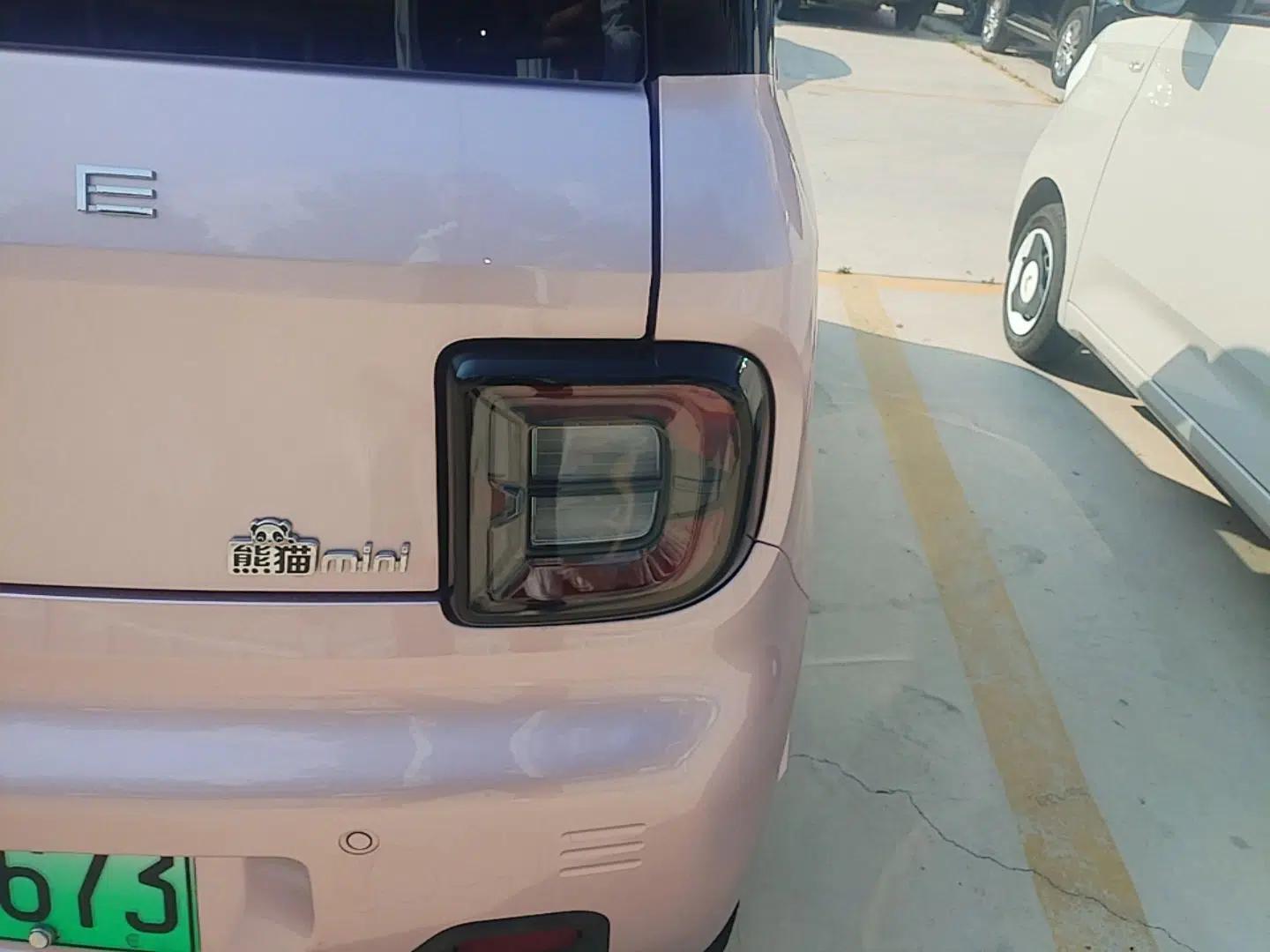 Geely Galaxy Panda 2024 Panda Mini 200km Endurance Bear — миниатюра 9