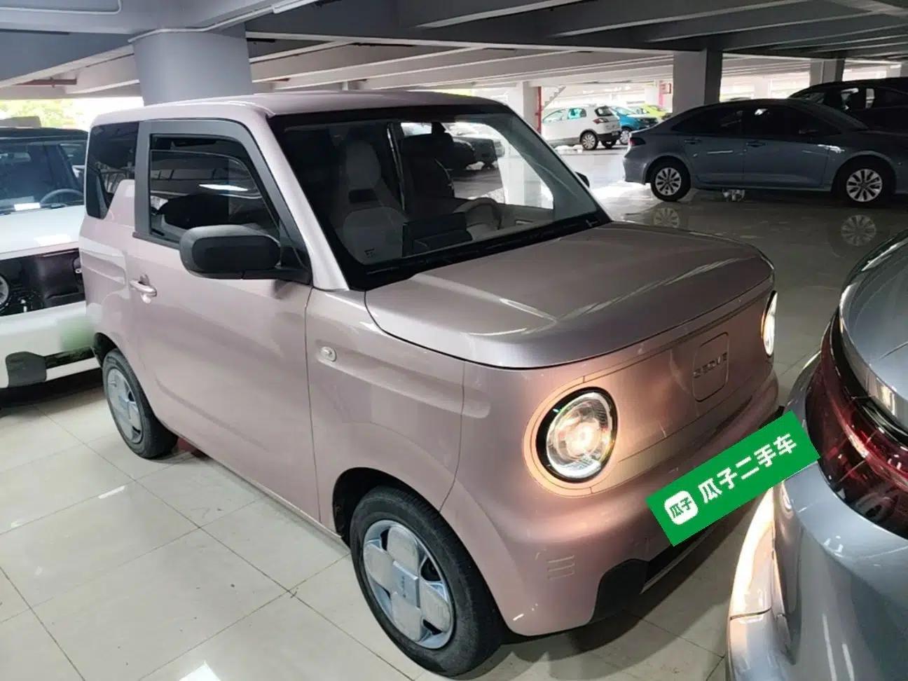 Geely Galaxy Panda 2023 Panda Mini 200km Endurance Bear — миниатюра 12