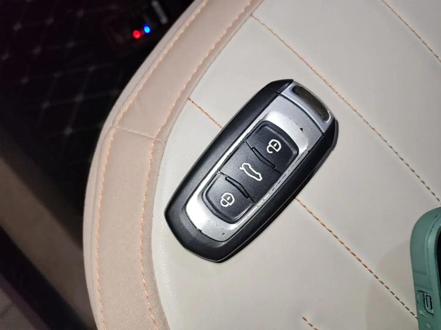 Geely Galaxy Panda 2023 Panda Mini 200km Endurance Bear — миниатюра 28