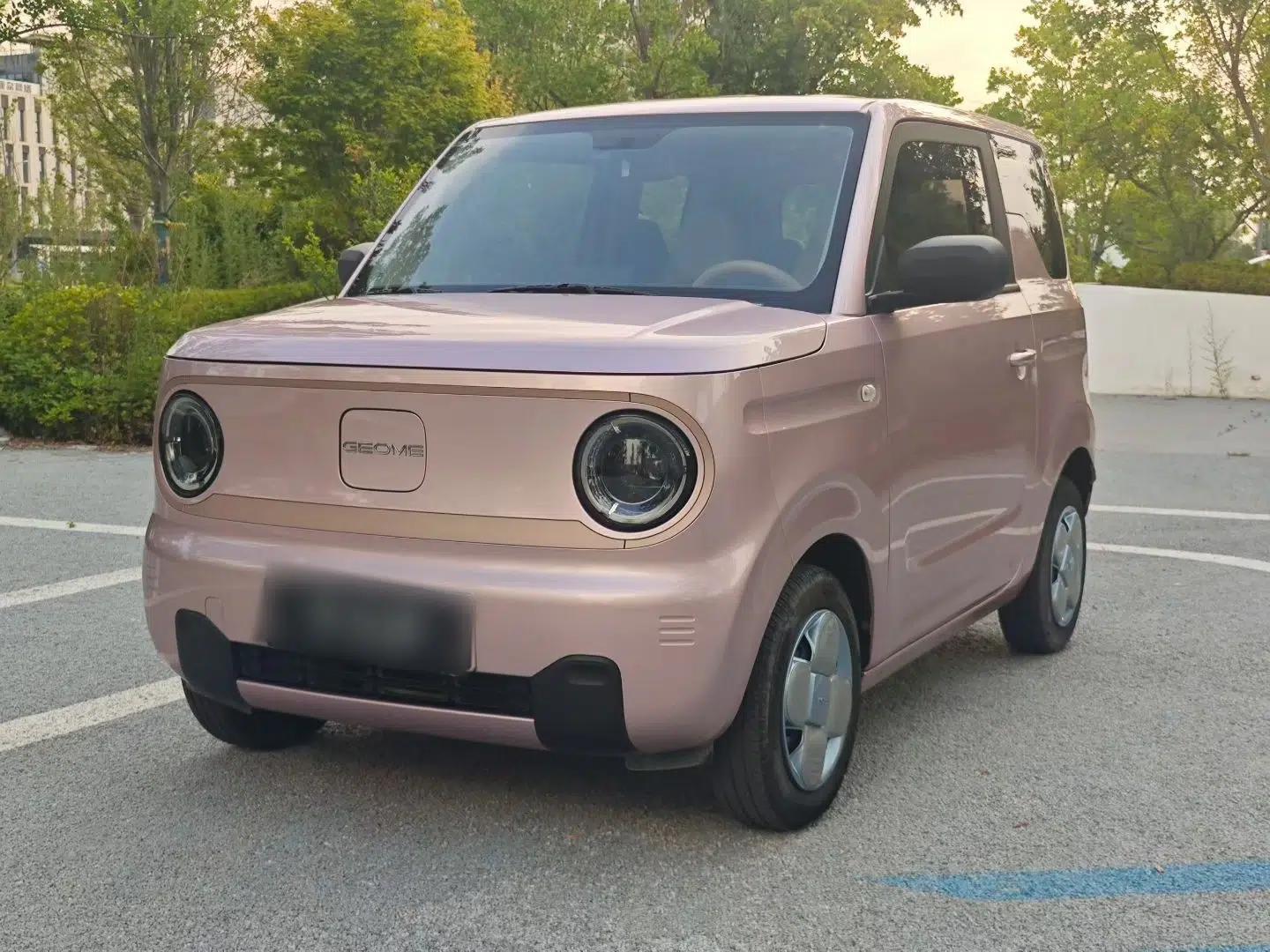 Geely Galaxy Panda 2024 Panda Mini 200km Endurance Bear — миниатюра 1
