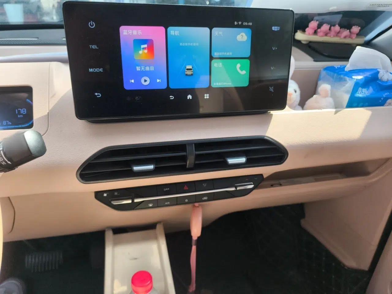 Geely Galaxy Panda 2024 Panda Mini 200km Endurance Bear — миниатюра 12