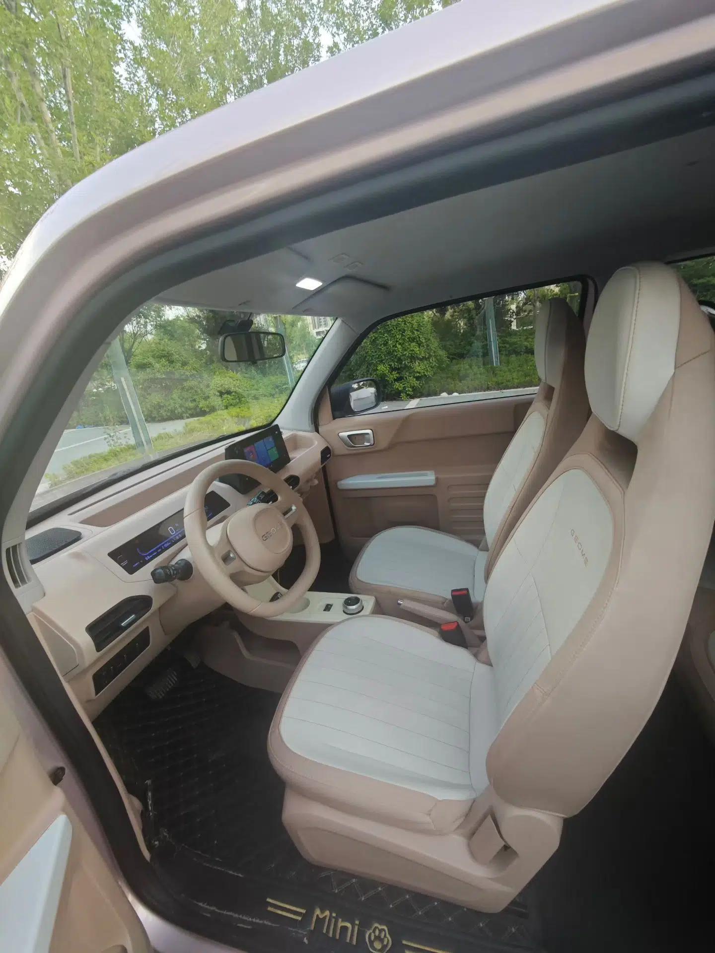 Geely Galaxy Panda 2024 Panda Mini 200km Endurance Bear — миниатюра 17