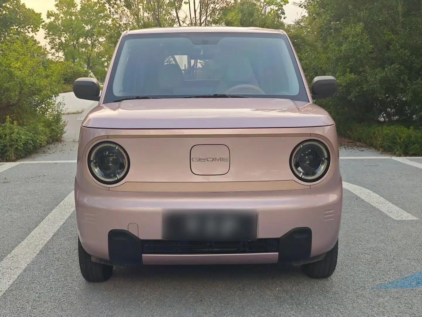 Geely Galaxy Panda 2024 Panda Mini 200km Endurance Bear — миниатюра 4