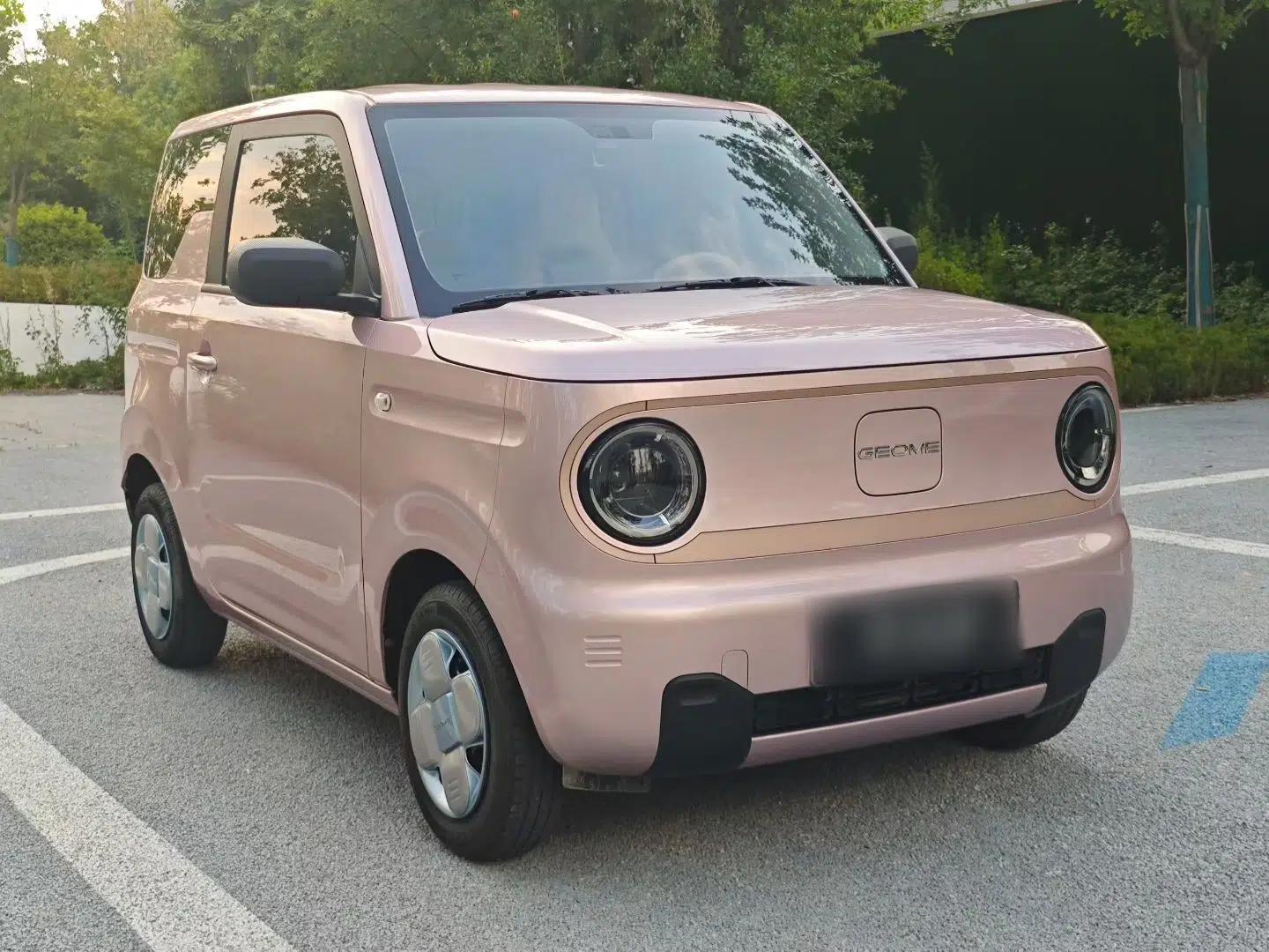 Geely Galaxy Panda 2024 Panda Mini 200km Endurance Bear — миниатюра 5