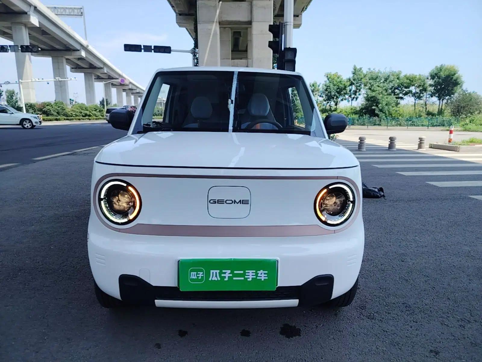 Geely Galaxy Panda 2023 Panda Mini 200km Dynamic Bear — миниатюра 2