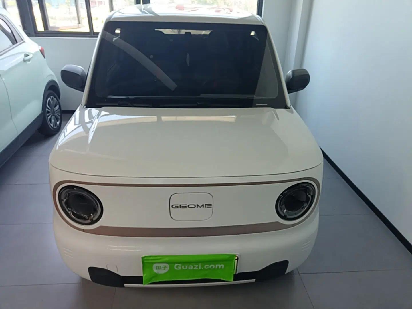 Geely Galaxy Panda 2023 Panda Mini 200km Endurance Bear — миниатюра 2