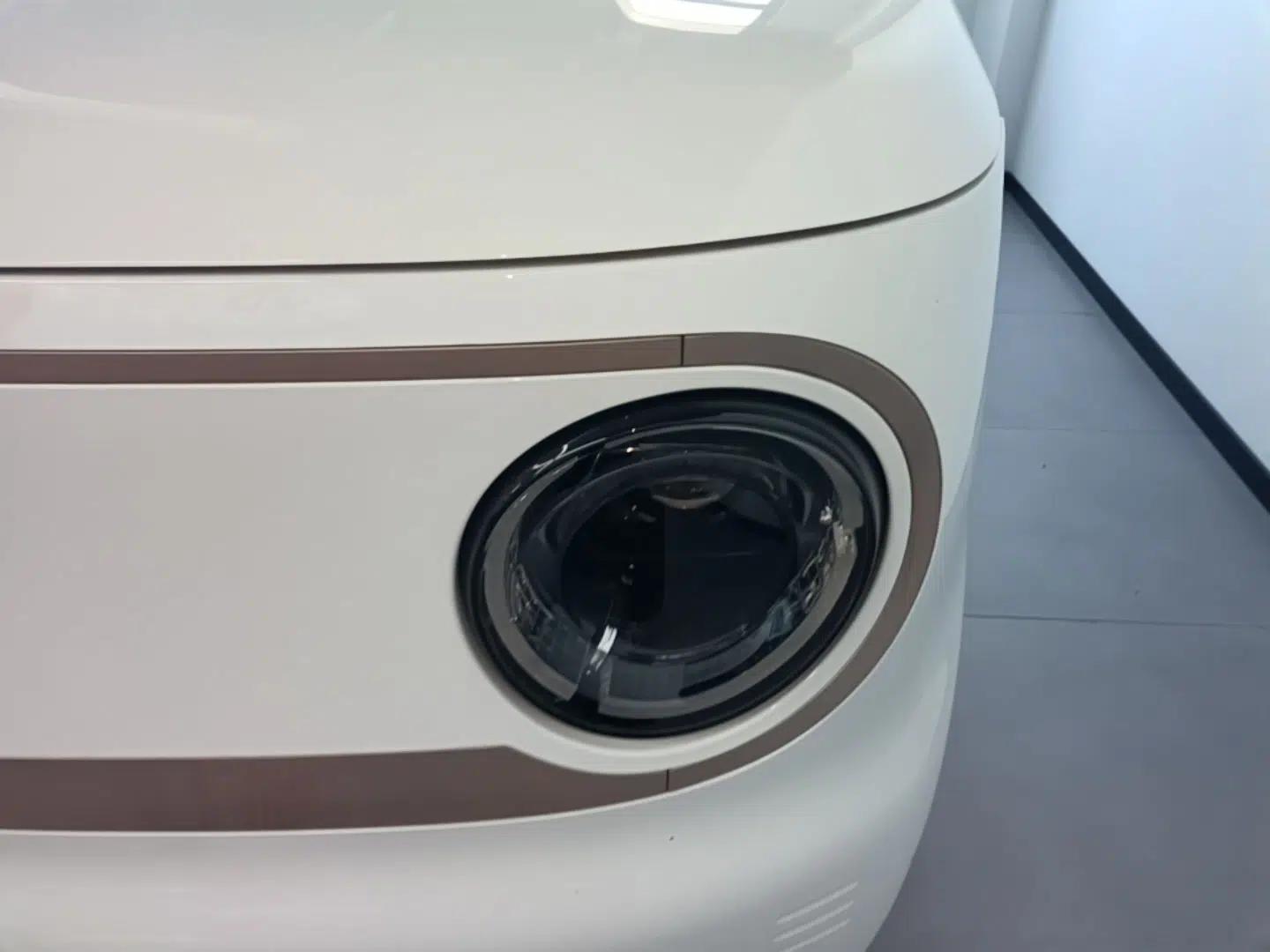 Geely Galaxy Panda 2023 Panda Mini 200km Endurance Bear — миниатюра 8