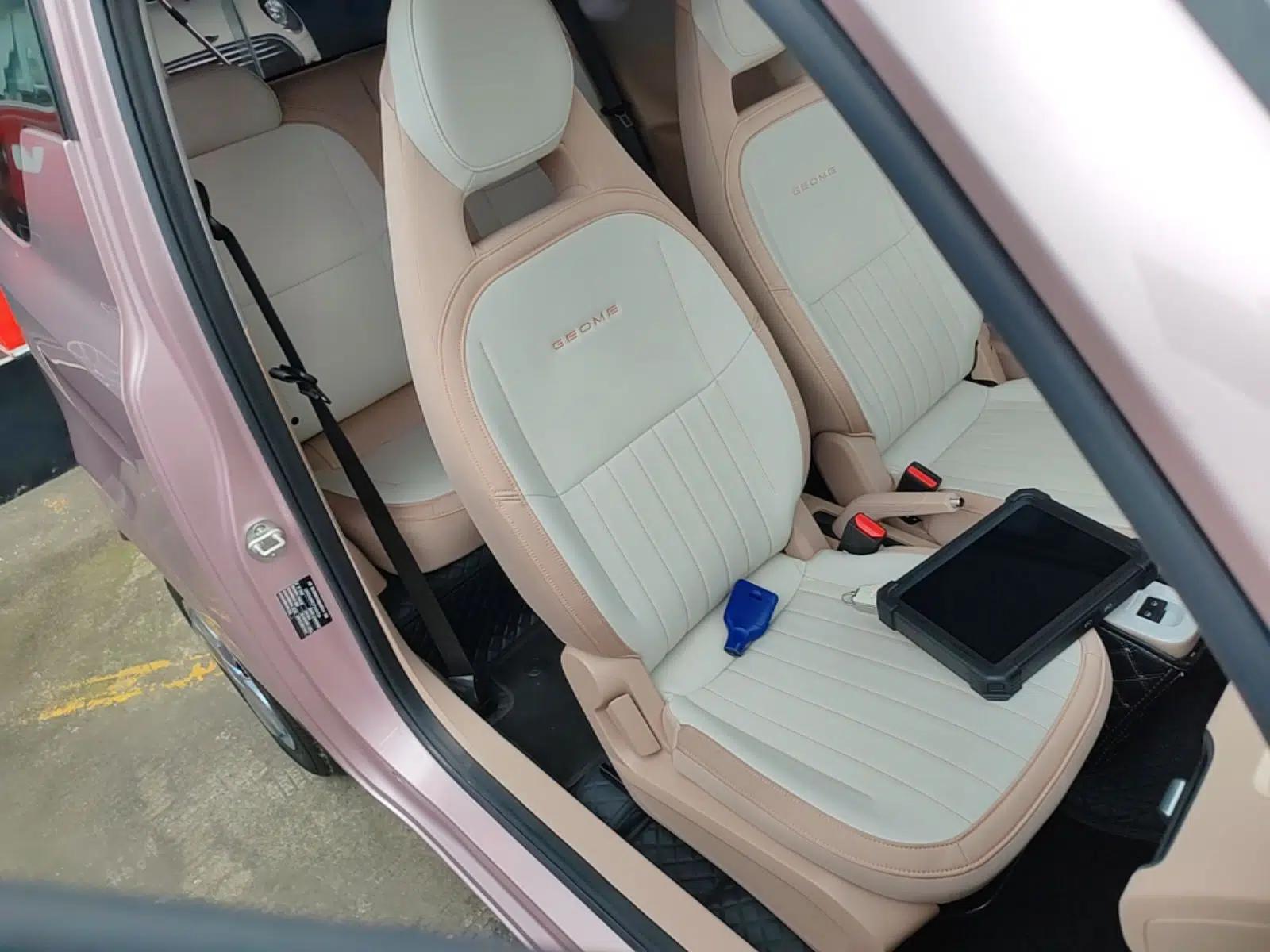 Geely Galaxy Panda 2023 Panda Mini 200km Endurance Bear — миниатюра 19