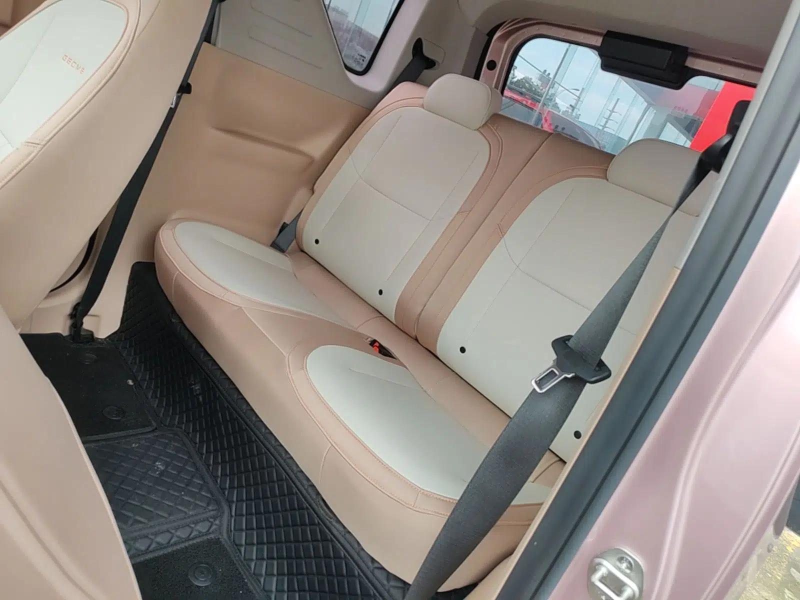 Geely Galaxy Panda 2023 Panda Mini 200km Endurance Bear — миниатюра 20