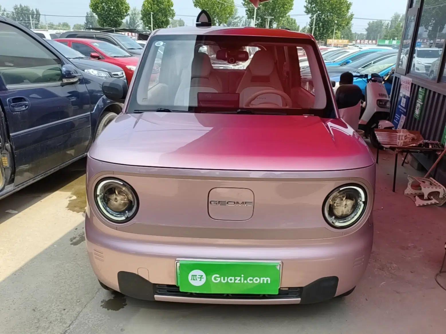 Geely Galaxy Panda 2023 Panda Mini 200km Endurance Bear — миниатюра 2