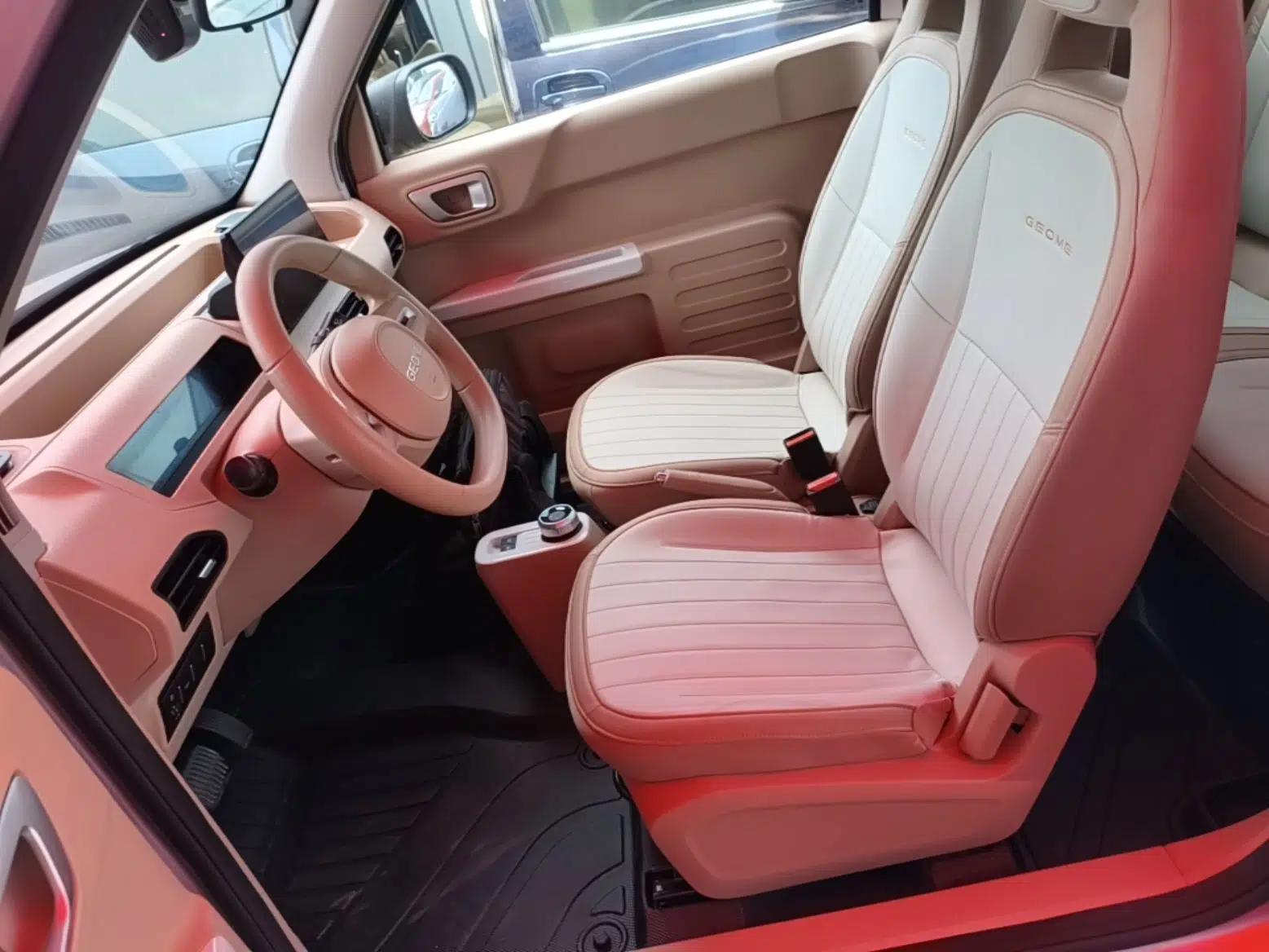Geely Galaxy Panda 2023 Panda Mini 200km Endurance Bear — миниатюра 22