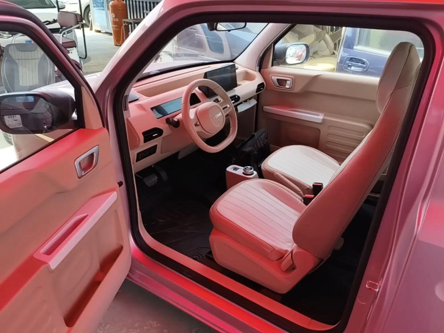 Geely Galaxy Panda 2023 Panda Mini 200km Endurance Bear — миниатюра 23