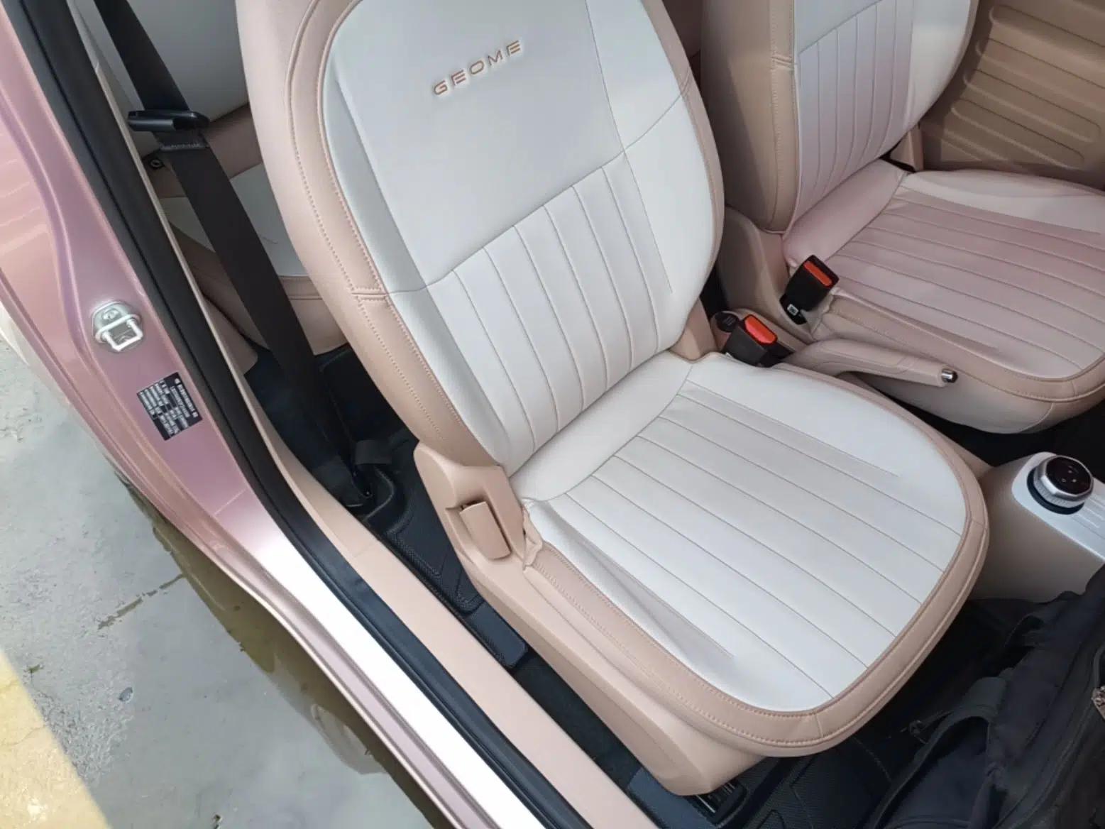 Geely Galaxy Panda 2023 Panda Mini 200km Endurance Bear — миниатюра 24