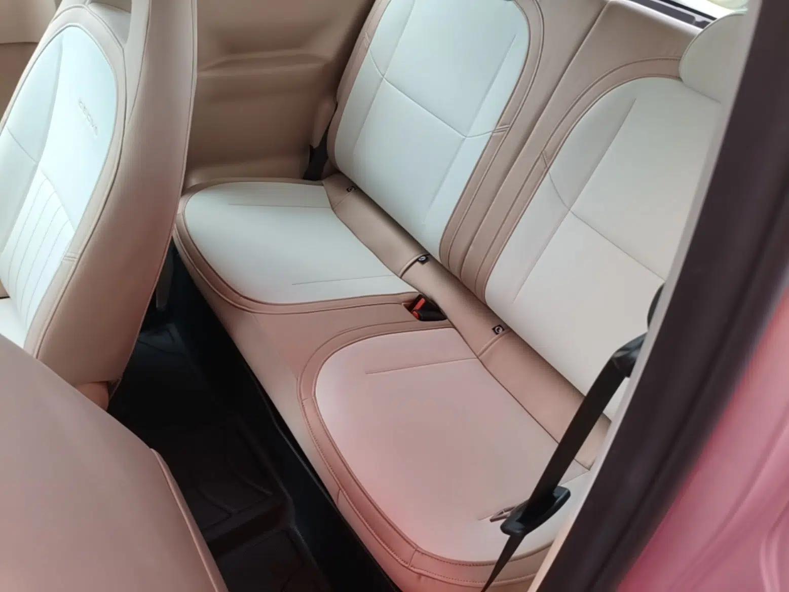 Geely Galaxy Panda 2023 Panda Mini 200km Endurance Bear — миниатюра 25
