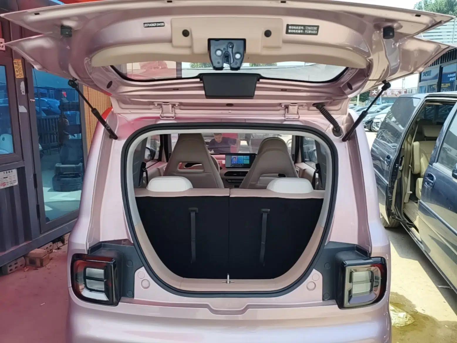 Geely Galaxy Panda 2023 Panda Mini 200km Endurance Bear — миниатюра 27