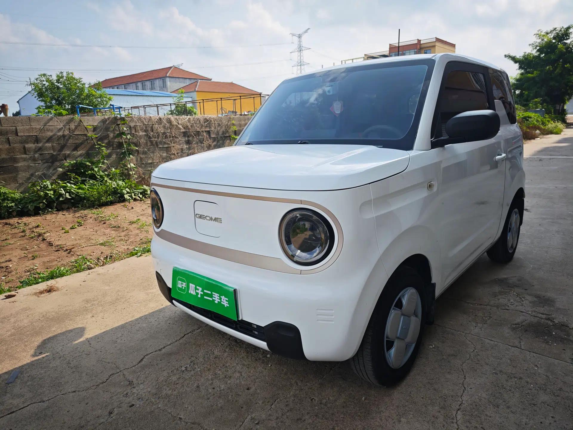 Geely Galaxy Panda 2023 Panda Mini 200km Endurance Bear — миниатюра 1