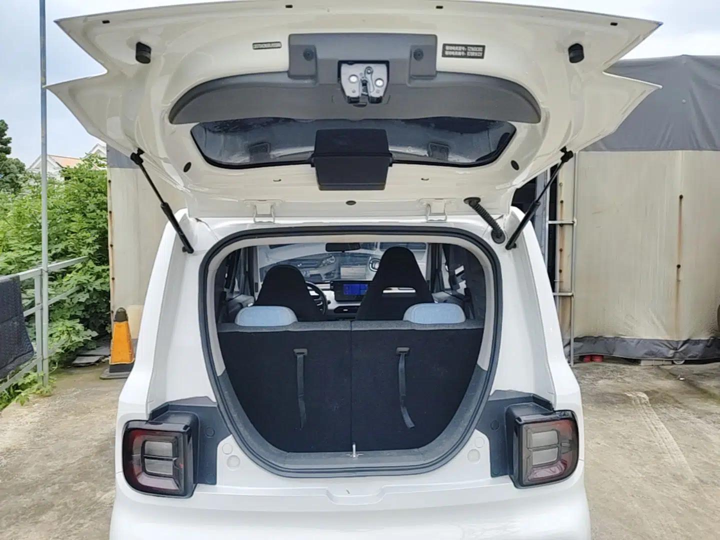 Geely Galaxy Panda 2024 Panda Mini 200km Endurance Bear — миниатюра 22