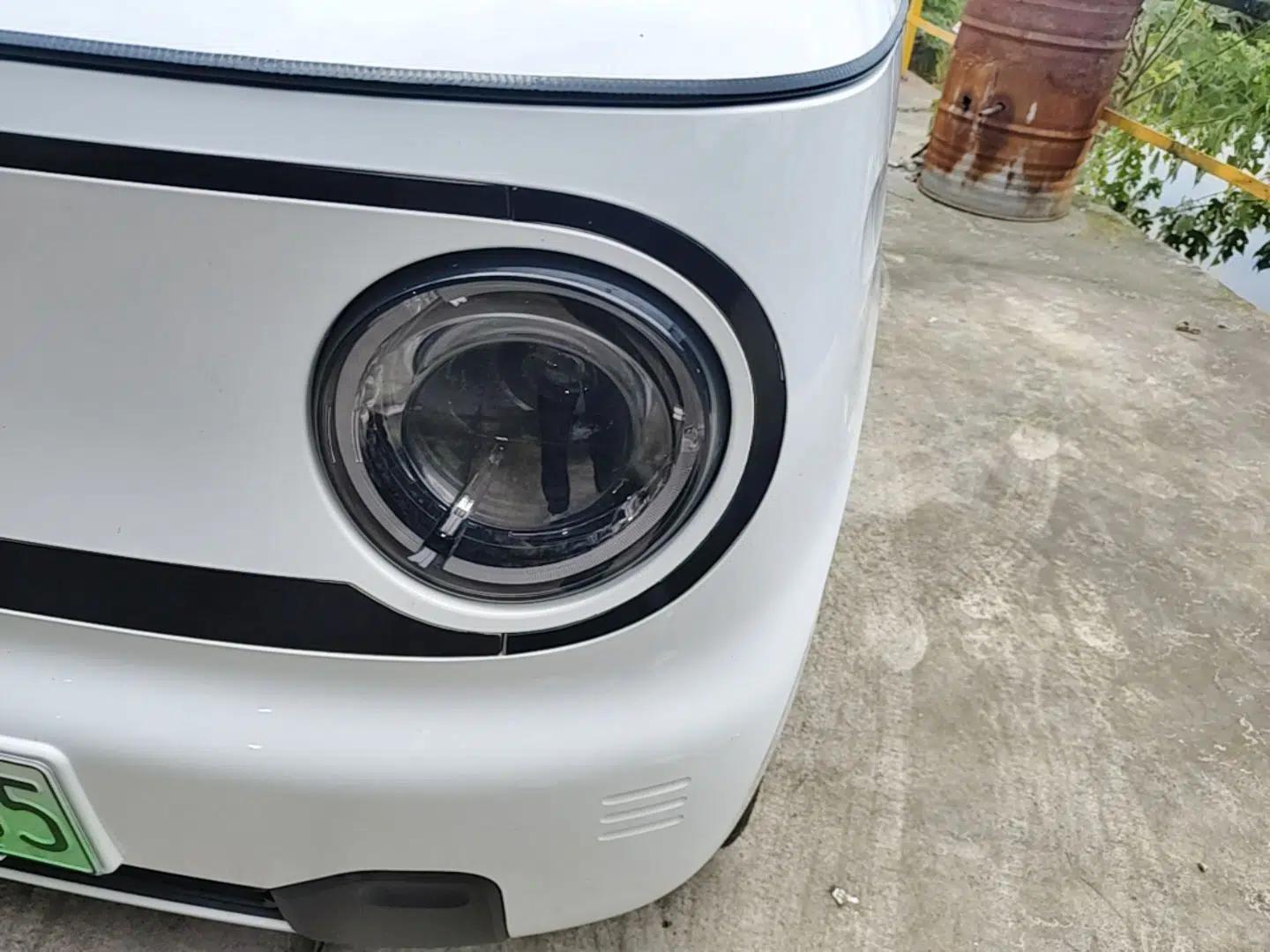 Geely Galaxy Panda 2024 Panda Mini 200km Endurance Bear — миниатюра 8