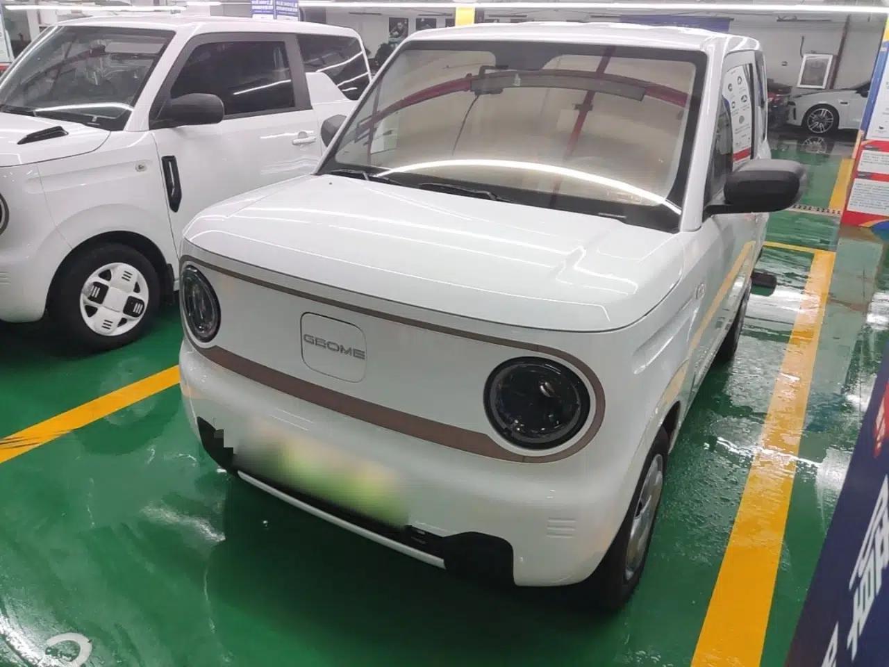 Geely Galaxy Panda 2023 Panda Mini 200km Endurance Bear — миниатюра 1