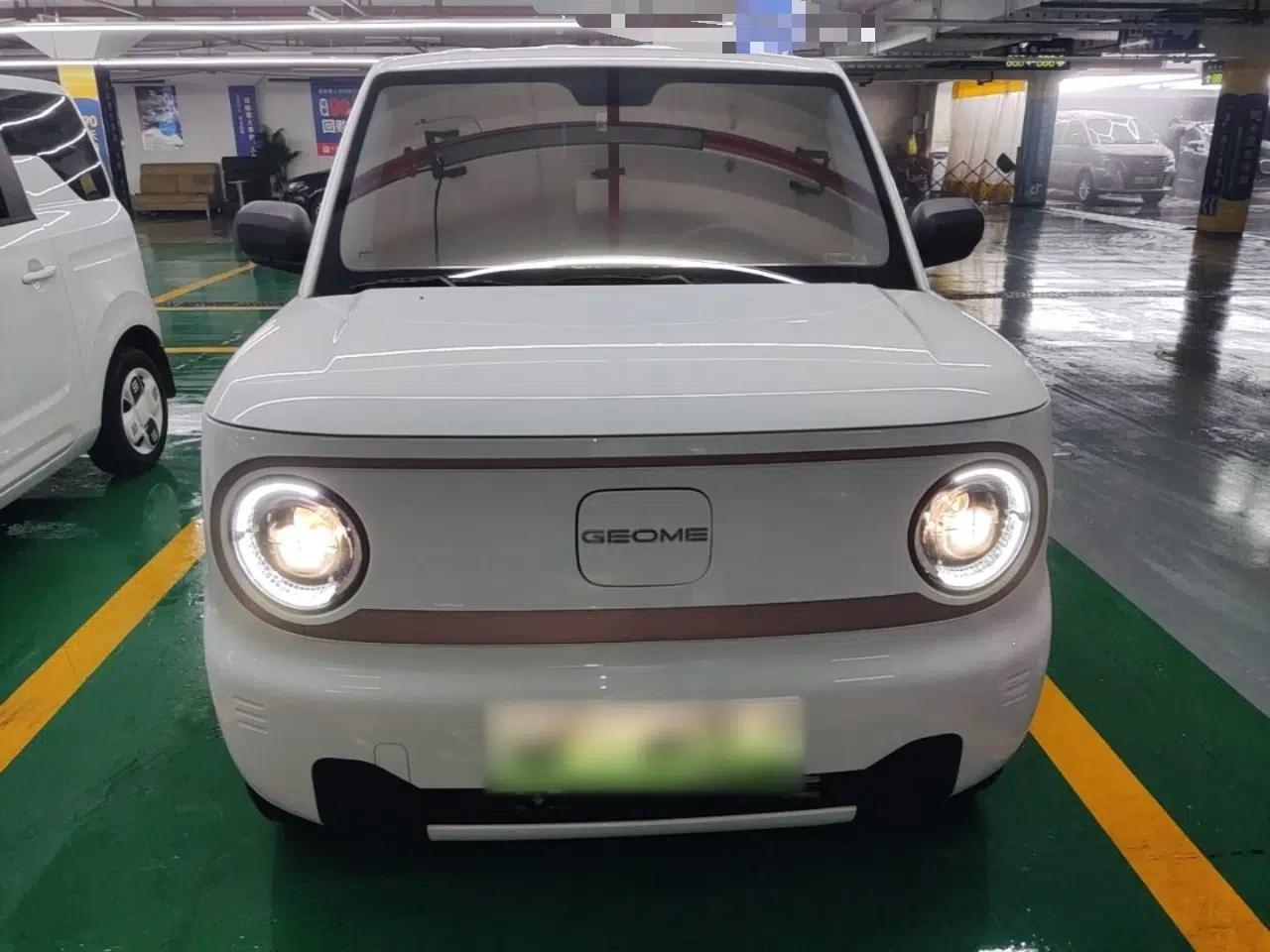 Geely Galaxy Panda 2023 Panda Mini 200km Endurance Bear — миниатюра 2