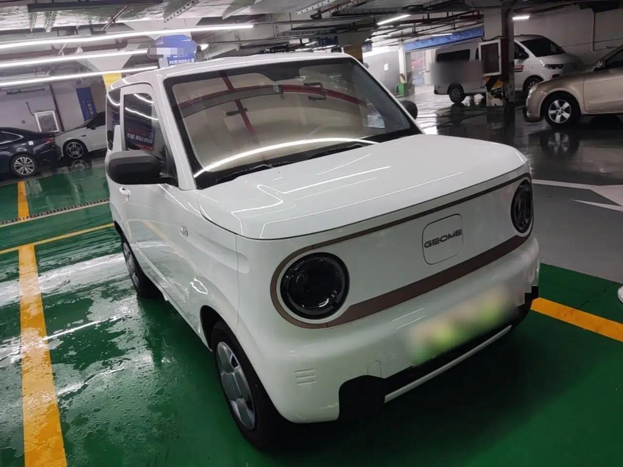 Geely Galaxy Panda 2023 Panda Mini 200km Endurance Bear — миниатюра 3