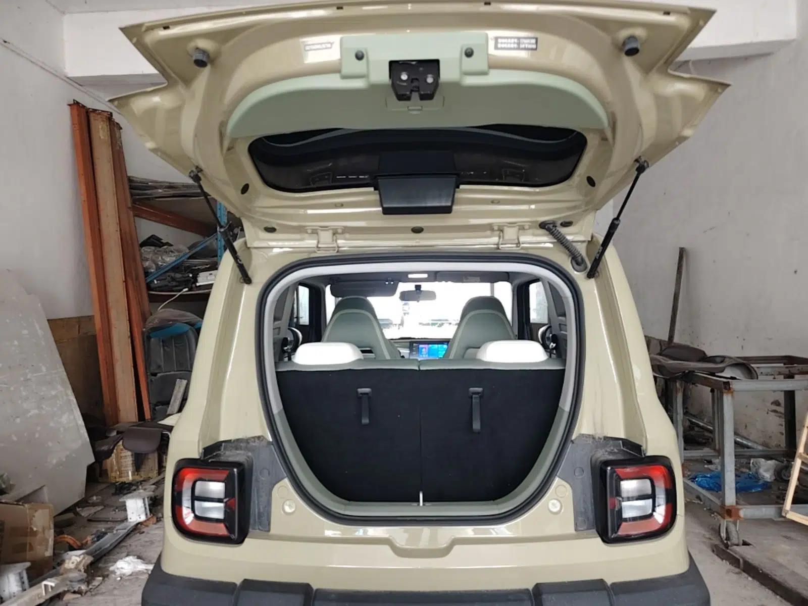 Geely Galaxy Panda 2025 210km Panda Rider — миниатюра 27