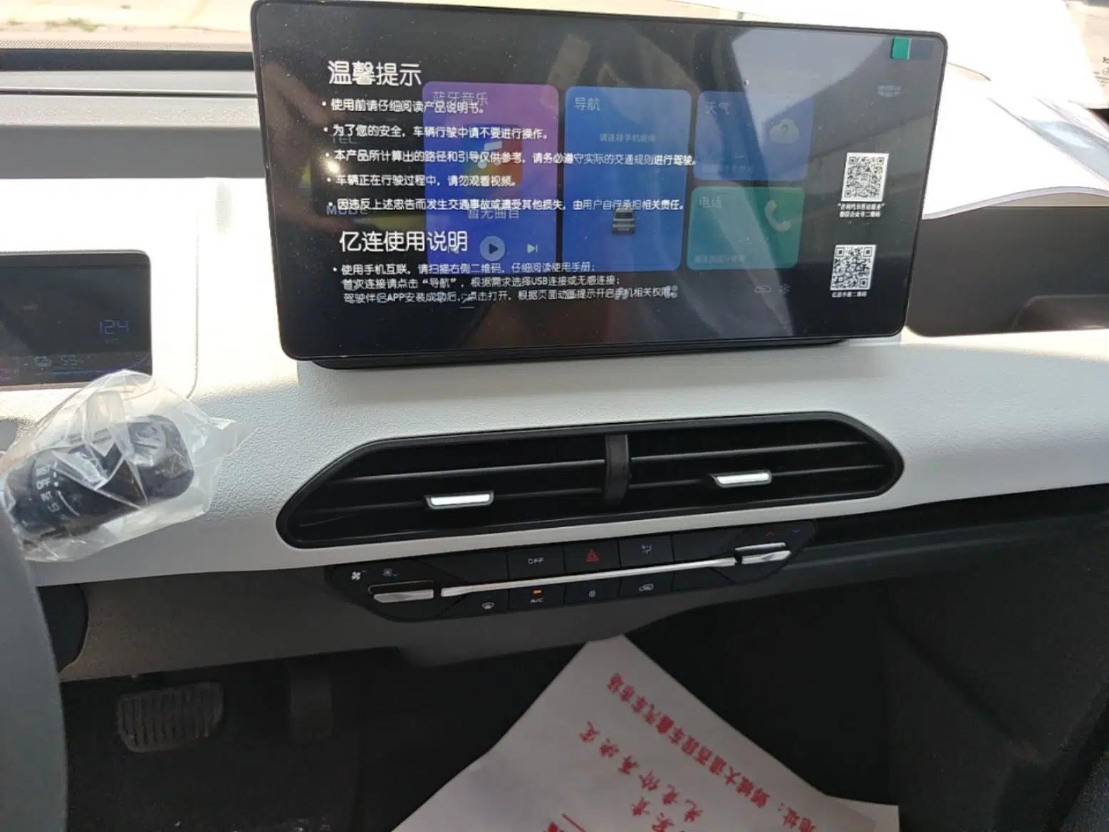 Geely Galaxy Panda 2024 Panda Mini 200km Endurance Bear — миниатюра 15