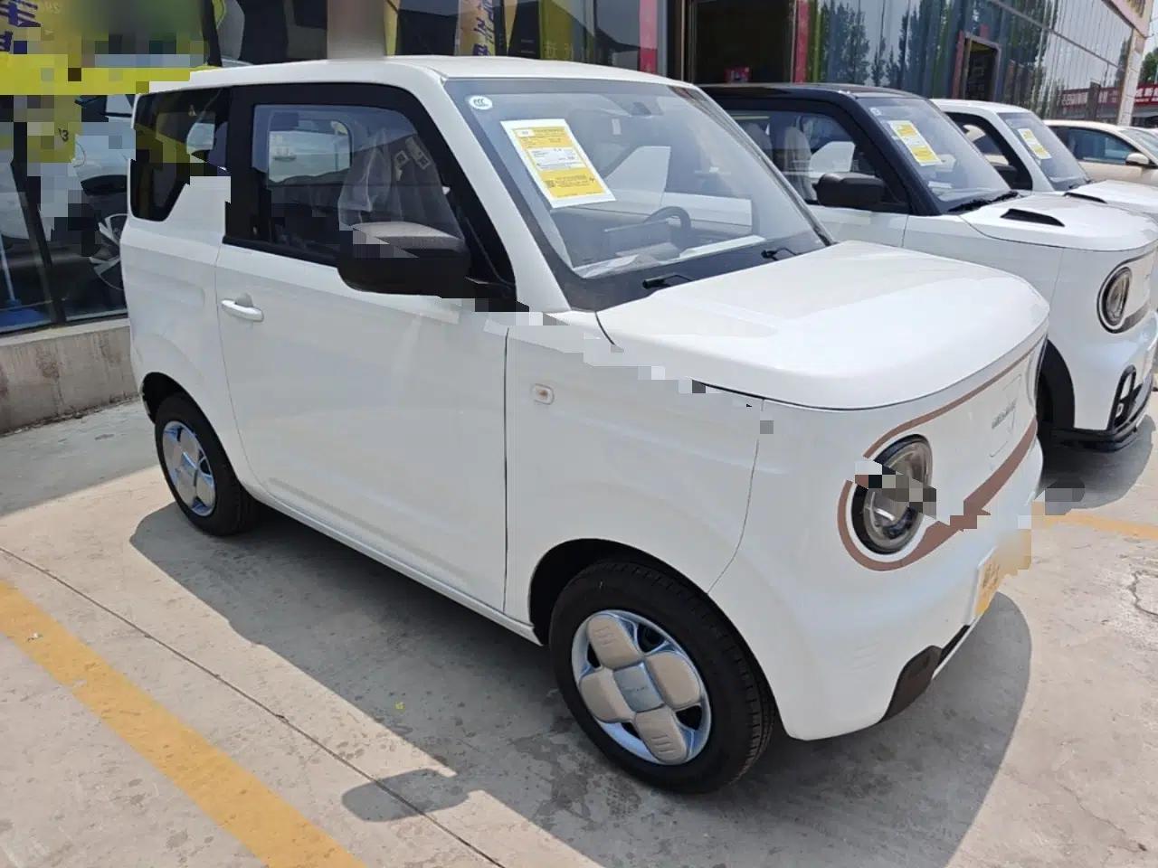 Geely Galaxy Panda 2024 Panda Mini 200km Endurance Bear — миниатюра 3