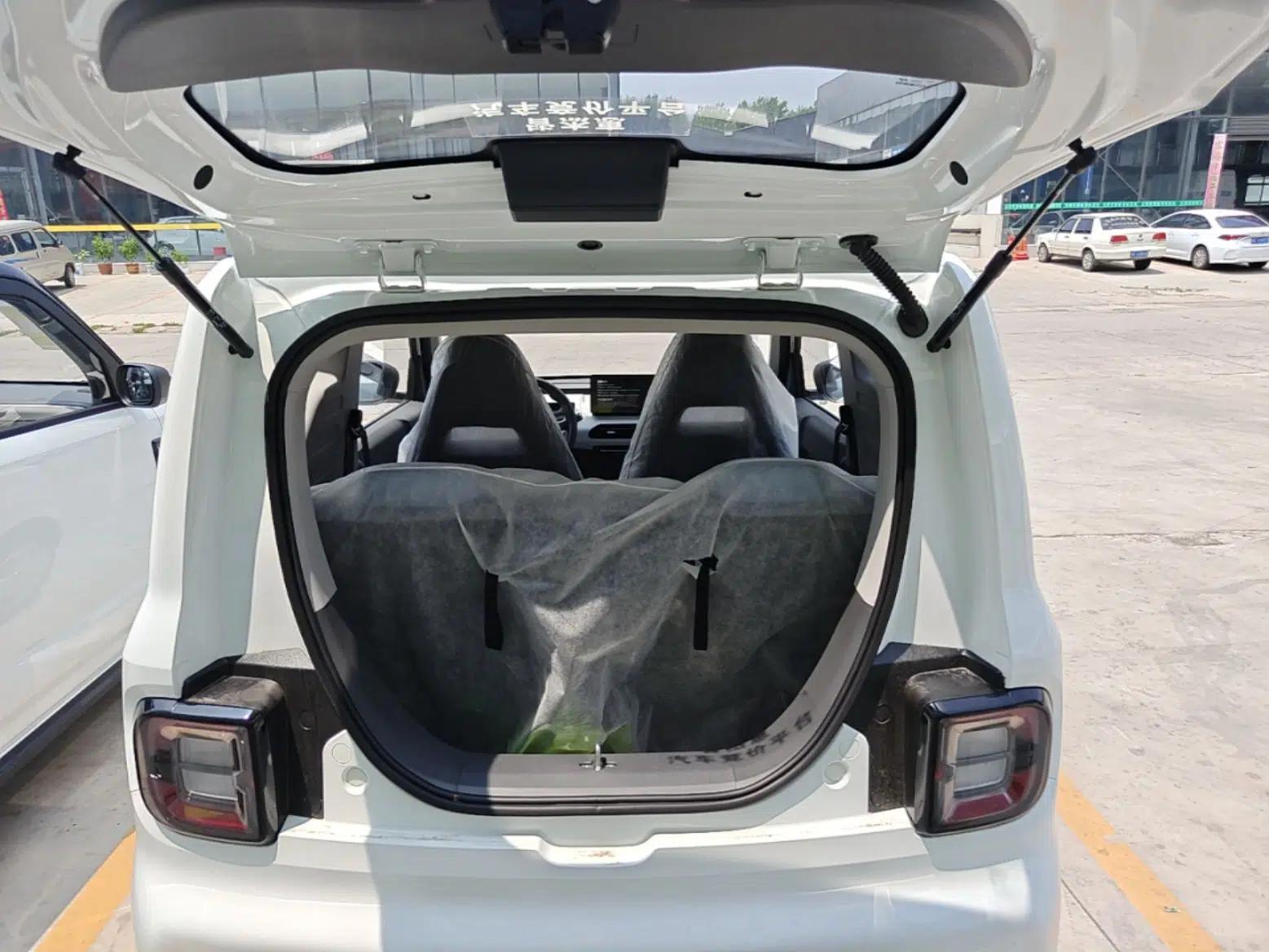 Geely Galaxy Panda 2024 Panda Mini 200km Endurance Bear — миниатюра 22
