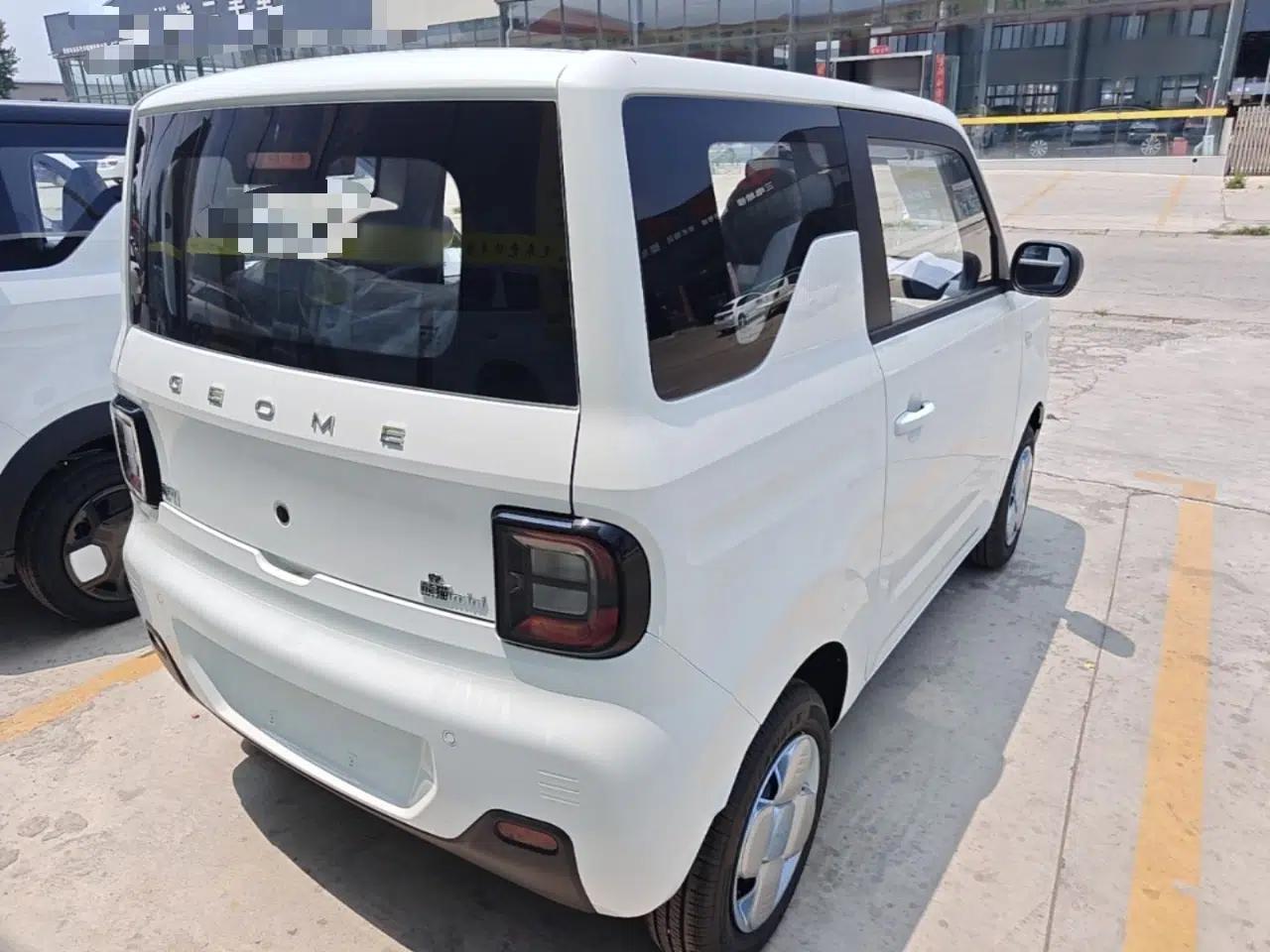 Geely Galaxy Panda 2024 Panda Mini 200km Endurance Bear — миниатюра 6