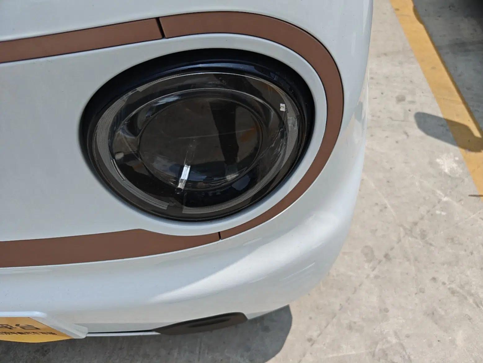 Geely Galaxy Panda 2024 Panda Mini 200km Endurance Bear — миниатюра 8