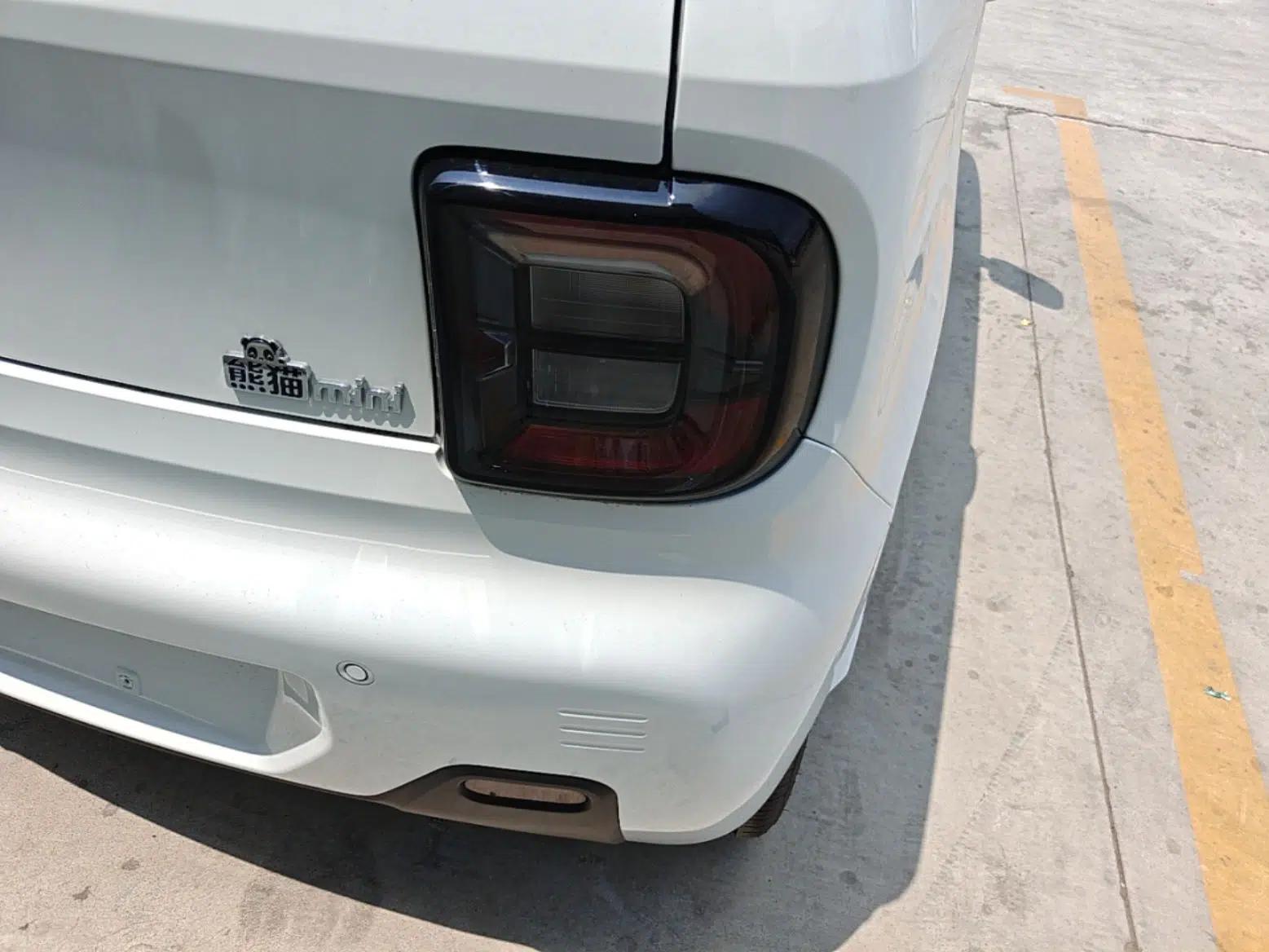 Geely Galaxy Panda 2024 Panda Mini 200km Endurance Bear — миниатюра 9