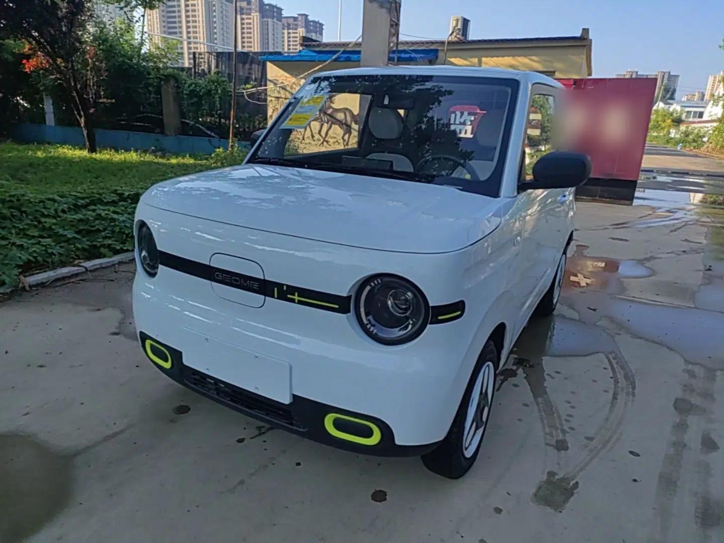 Geely Galaxy Panda 2025 210 km – Yuanqi Bear — миниатюра 1