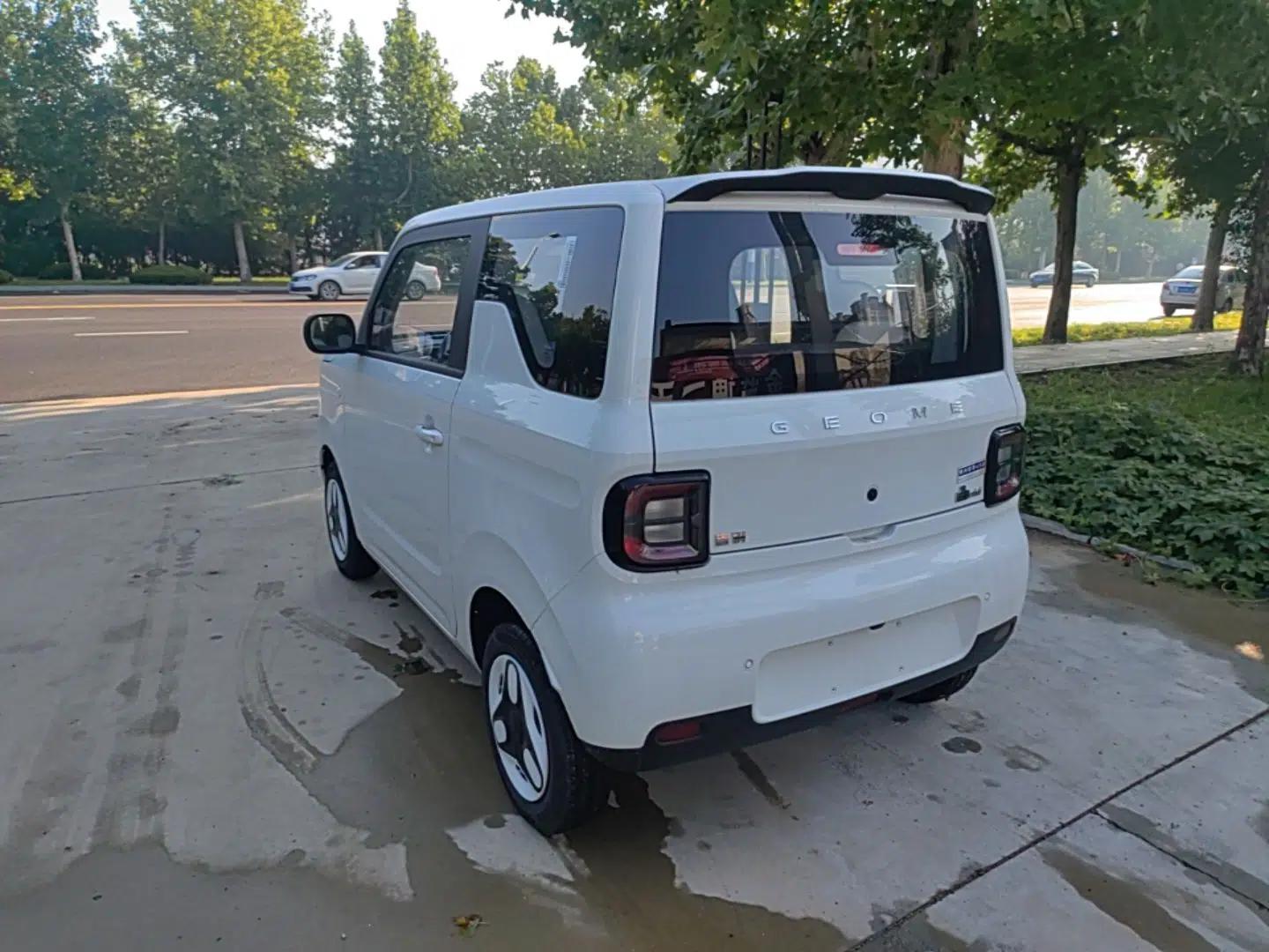 Geely Galaxy Panda 2025 210 km – Yuanqi Bear — миниатюра 4