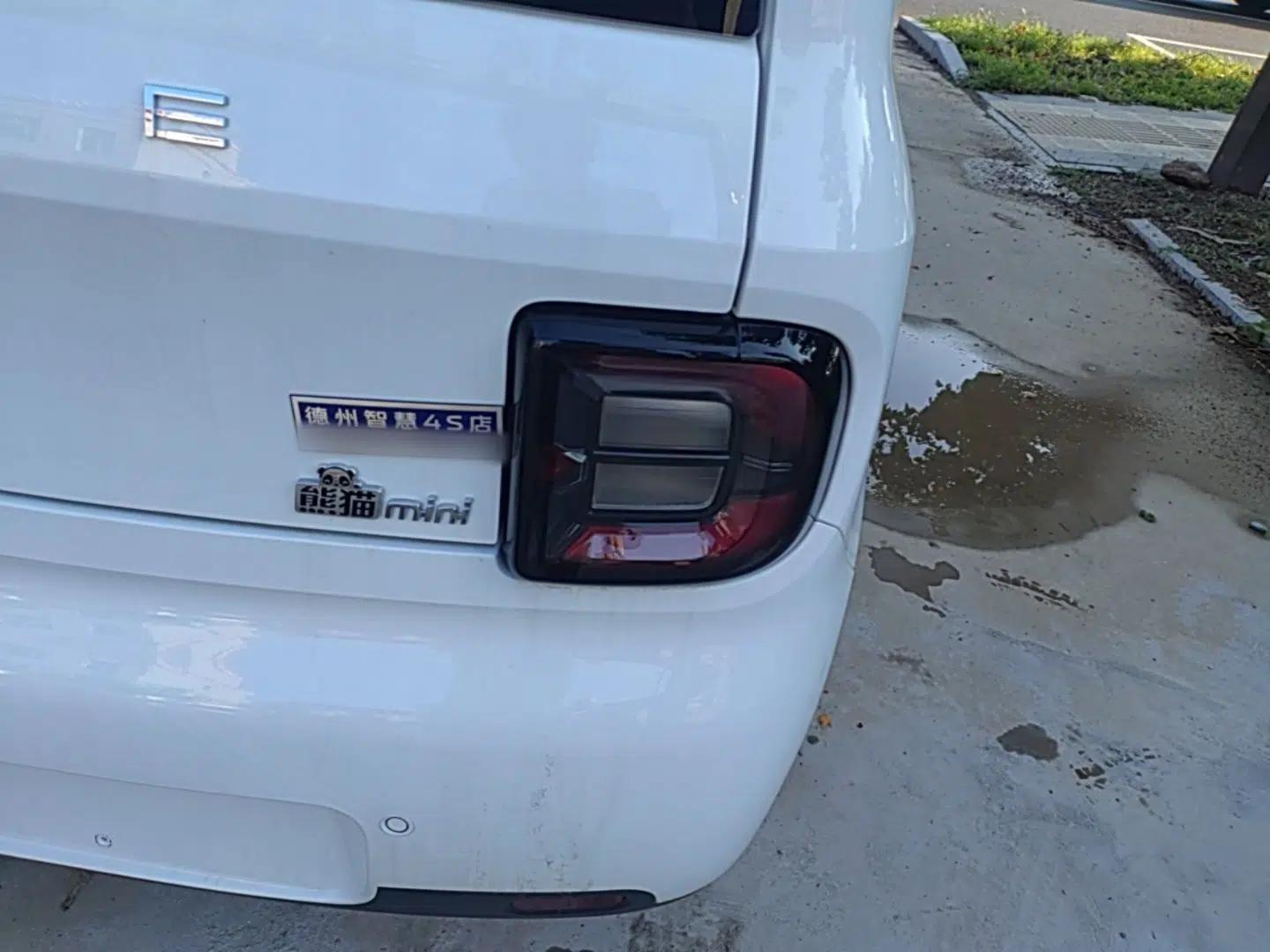Geely Galaxy Panda 2025 210 km – Yuanqi Bear — миниатюра 9
