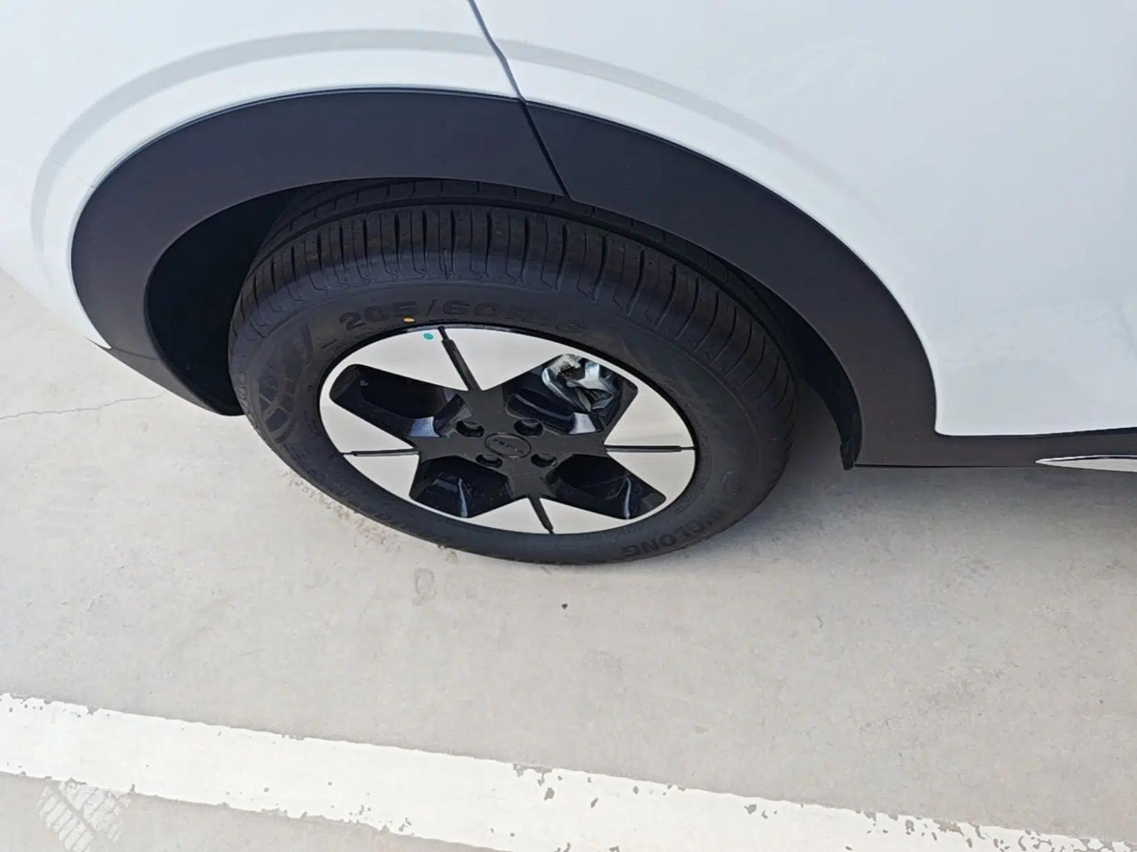 Geely Galaxy Geome 2026 310km Wind-Riding Edition — миниатюра 11