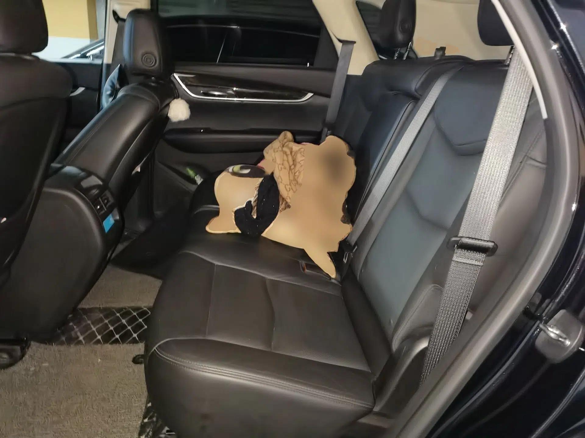 Cadillac XT5 2018 28T Four-Wheel Drive Luxury Model — миниатюра 17