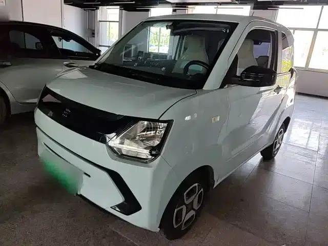 Fengguang MINIEV 2022 Model, Practical & Luxurious Edition