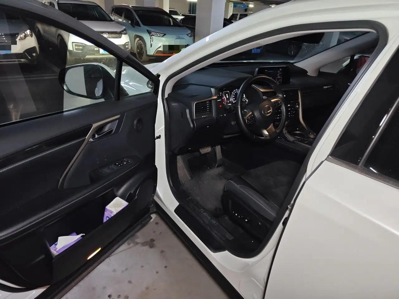 Lexus RX 2020 Revised Version 300 Two-Wheel Drive Elite Edition — миниатюра 16