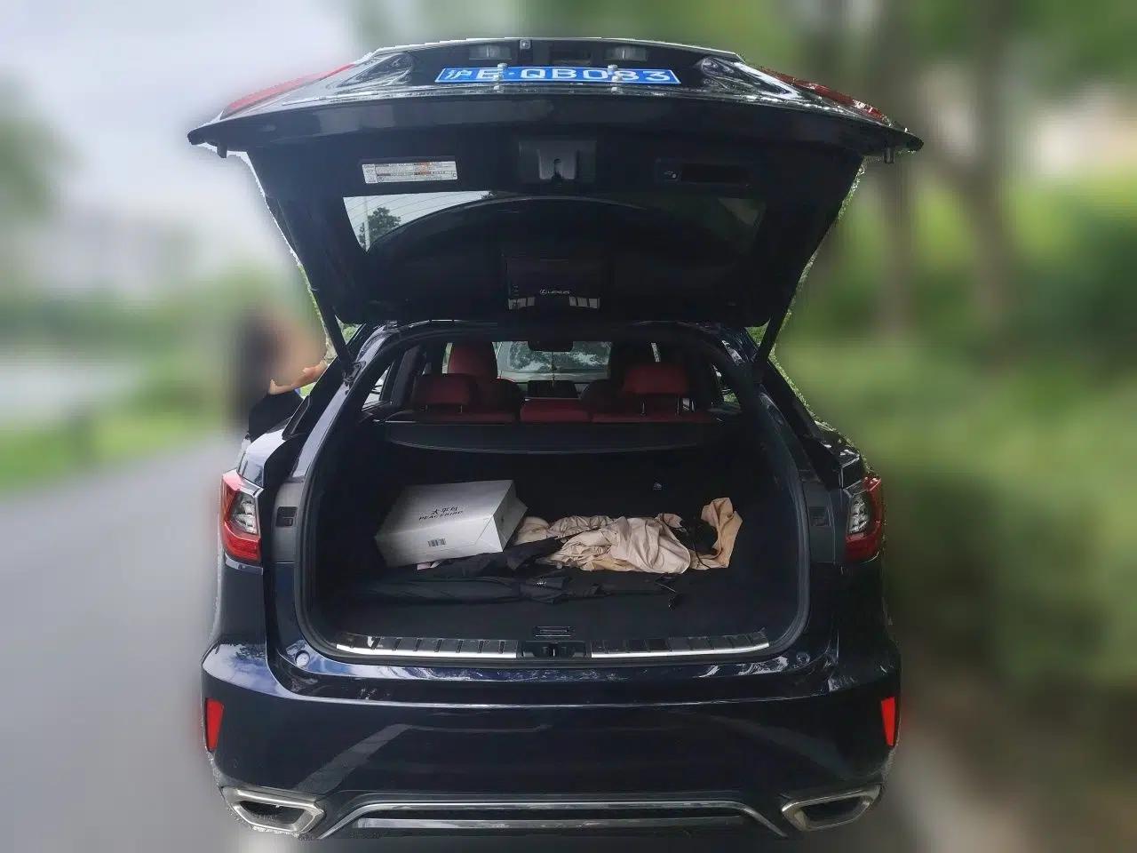 Lexus RX 2016 300 4x4 F SPORT Version China V Standard — миниатюра 19