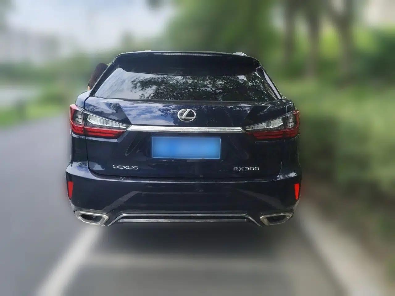 Lexus RX 2016 300 4x4 F SPORT Version China V Standard — миниатюра 5