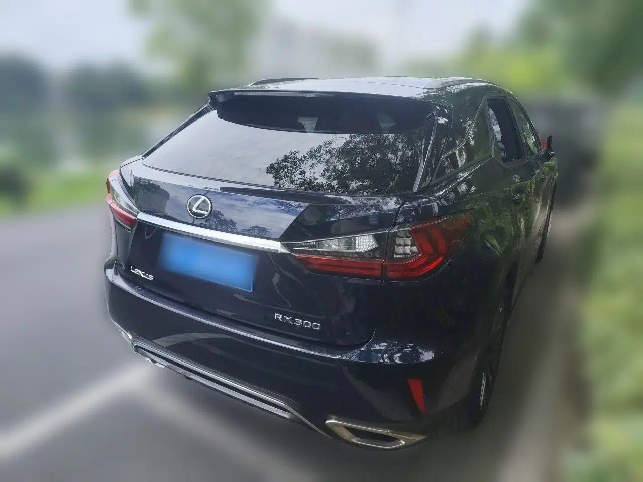 Lexus RX 2016 300 4x4 F SPORT Version China V Standard — миниатюра 6