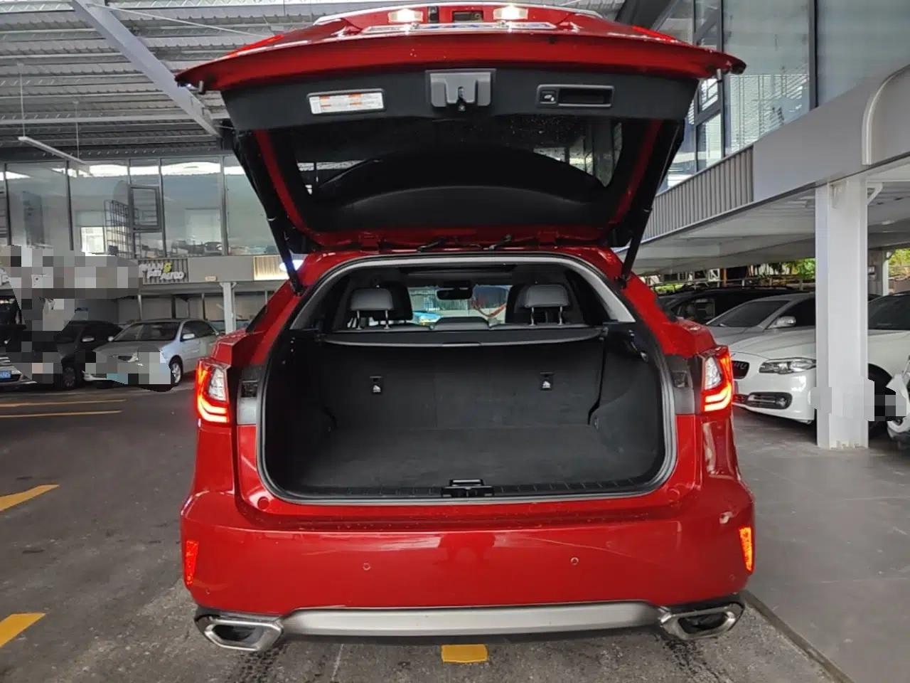 Lexus RX 2016 300 4x4 Elegant Edition China V-standard — миниатюра 22