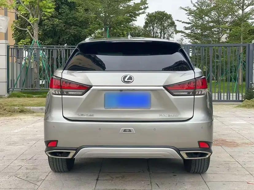 Lexus RX 2020 300 4x4 Elegant Edition China VI — миниатюра 16